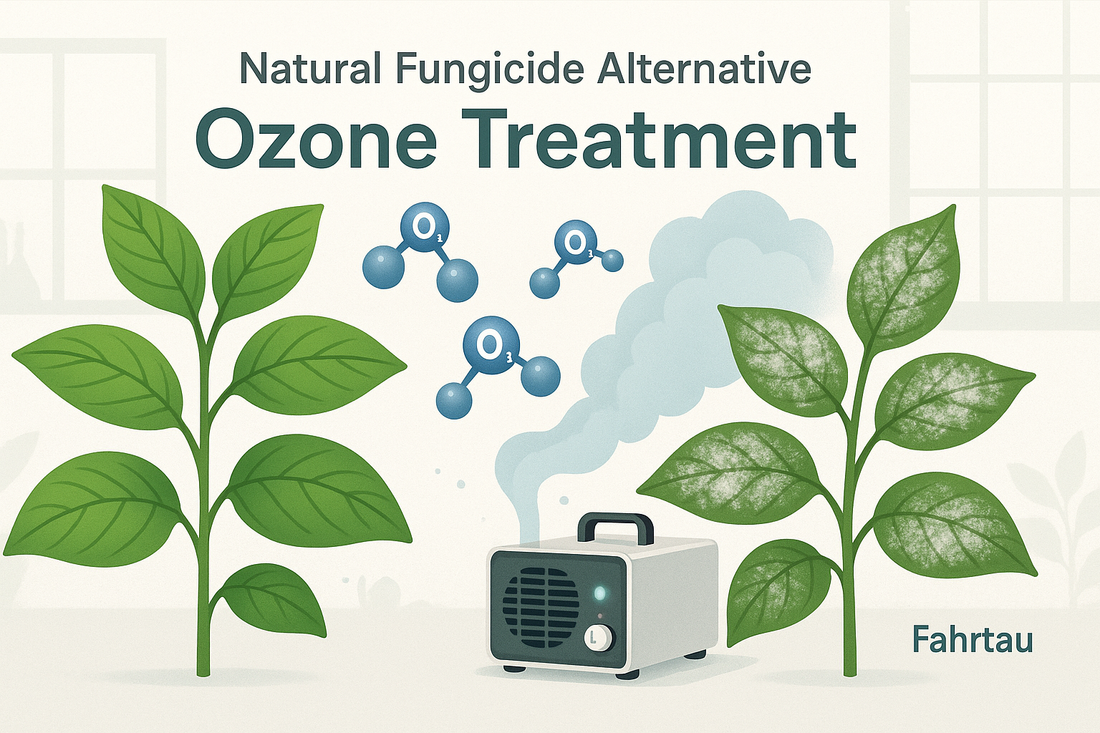 Ozone Treatment for Powdery Mildew: A Natural Fungicide Alternative